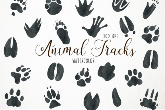Animal Tracks Clipart, Footprints: A Designer's Field Guide