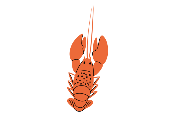 Sea or River Crayfish: A Creative Aquatic Animal Asset