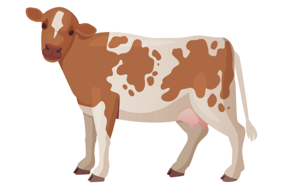 The Enduring Appeal of the Guernsey Cattle Breed